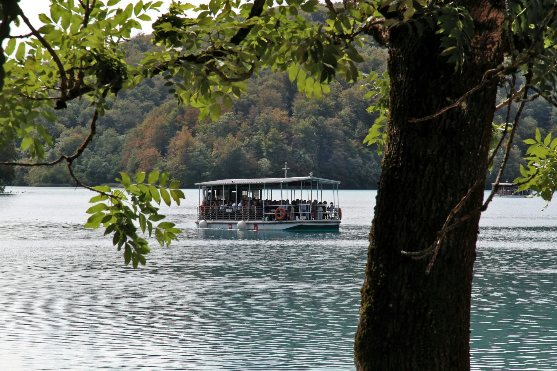 Electric boat and forested lakes at Plitvice Lakes National Park